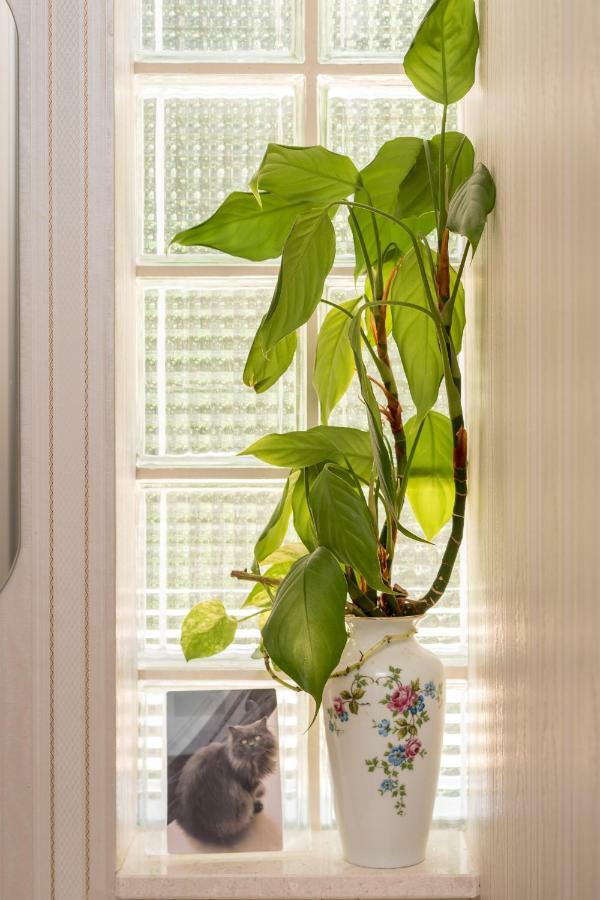 Apartments Ivan Kaštela 部屋 写真